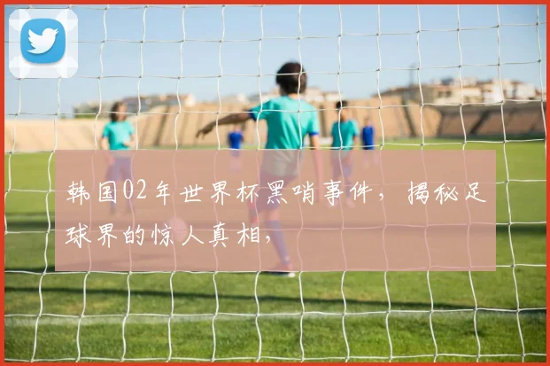 韩国02年世界杯黑哨事件，揭秘足球界的惊人真相，
